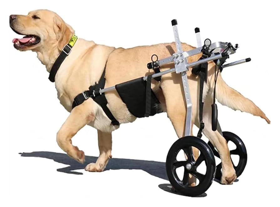 犬用アルミニウム車いす 調整可能 犬用車椅子 調整可能 車いす ペット用後ろ足 犬車椅子 歩行器
